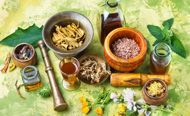 cara mengolah tanaman herbal